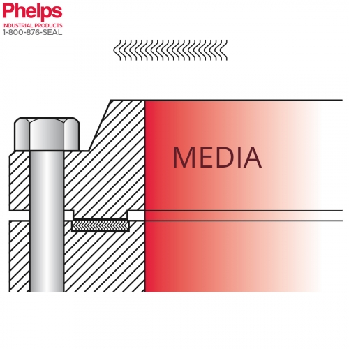 Phelps Style 9003 - Spiral Wound Gasket for Large Tounge and Groove Flange