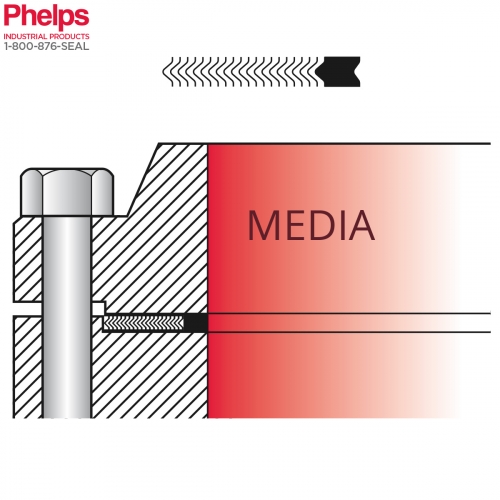 Phelps Style 9011 - Spiral Wound Gasket with Inner Ring for Large Male Femage Flange